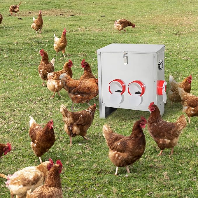 XKV Metal Automatic Chicken Feeder 30LBS with 4 Ports,No Feed Waste,All Seasons Support,Weather-Resistant and Animal-Proof,Suitable for Chicken,Geese,Ducks,Turkeys,Quails