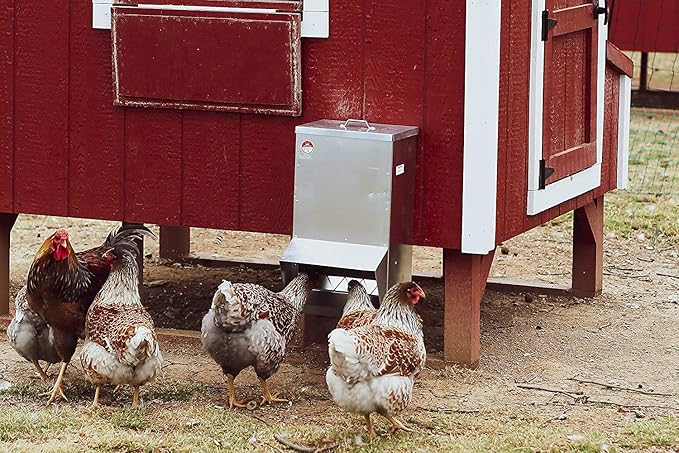RentACoop Galvanized Chicken Trough Feeder, Weatherproof Poultry Food Dispenser with Lid 25LB Capacity