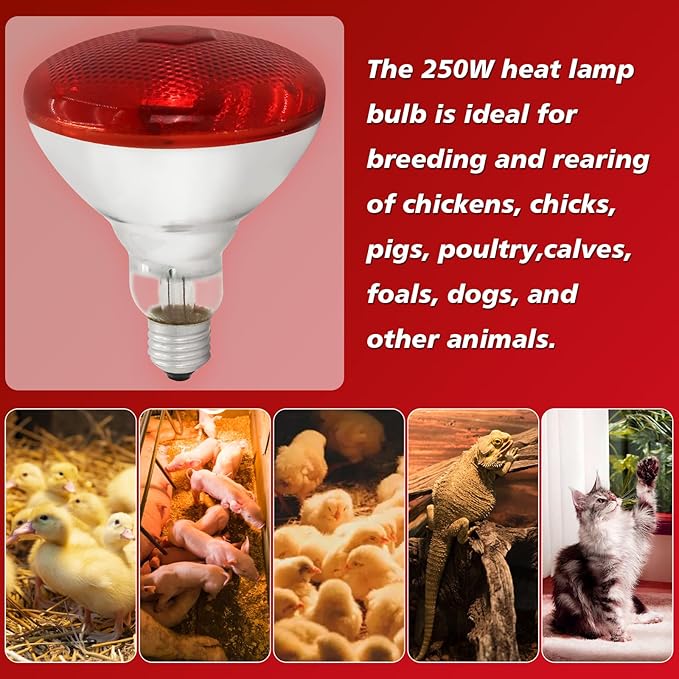 250W Red Heat Lamp Bulbs Infrared Flood Light for Chicken (2-Pack), Heat Light Bulb for Brooder Coop, Chickens Chicks Puppies Reptiles Livestock Poultry Use E26 Base