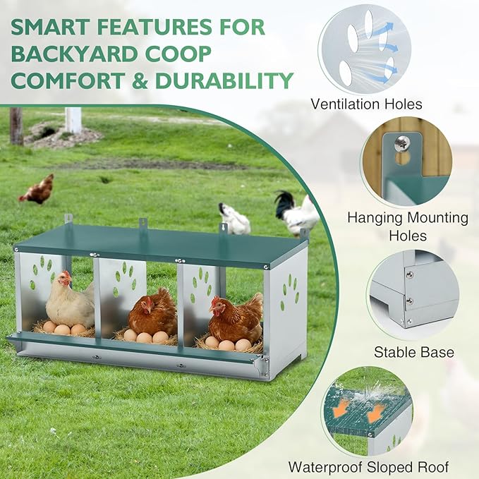 EAGLE PEAK 3-Hole Wall Mounted Chicken Nesting Box, Roll Away Hen Laying Box with Sloped Roof & Easy Clean Tray, Galvanized Steel for Backyard Chicken Coops (Green)