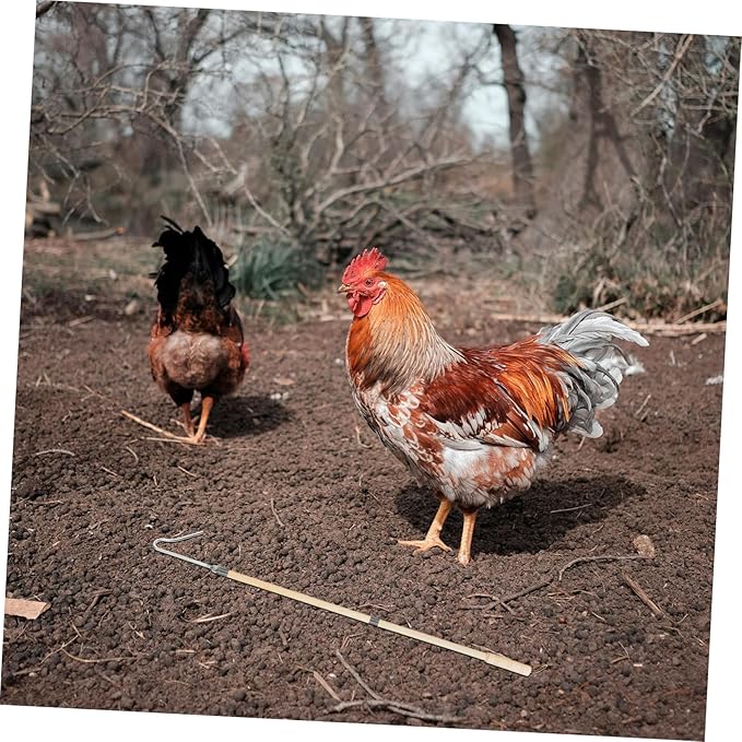 Heavy Duty Chicken Catcher Hook Tool for Poultry Handling Durable Construction for Efficient Farm Operations Versatile Chicken Catching for Poultry