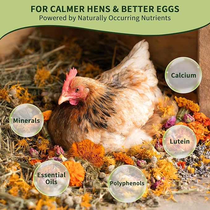Chicken Nesting Herbs 16 oz – 11 Natural Dried Herb Blend with Marigold for Chicken Coop & Roost Refresh, Nesting Box & Dust Bath, Supports Natural Nesting Behavior