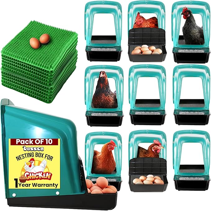 Nesting Boxes for Chicken Coop | Roll Away Hen House for Laying Eggs | Durable Plastic Chick Brooder Box with Perch & Pull Out Egg Tray for Poultry Farm | Chicken Coop Accessories (Pack of 10)