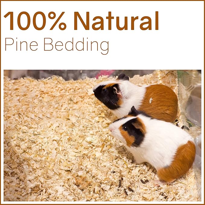 Greaton, Premium Natural Pine Animal Bedding – Dust-Free, Soft Shavings, Kiln-Dried & Heat-Treated for Indoor and Outdoor Pets