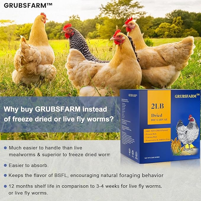 GRUBSFARM 2LB Dried Black Soldier Fly Larvae – Natural Non-GMO Chicken Treat for Adult Poultry, Molting and Laying Supplement,Resealable Bag in Retail Box