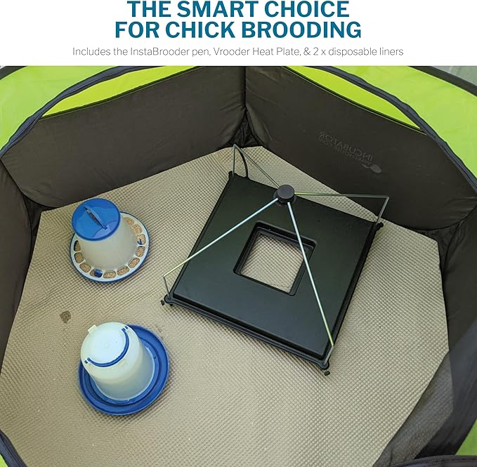 Incubator Warehouse Insta Brooder™ with Vrooder™ Heater Plate - Chicken Pop Up Playpen with Removable Mesh Top - Portable and Foldable Chicken Pen - Indoor Brooder Box for Chicks (36 x 36 x 18 inches)