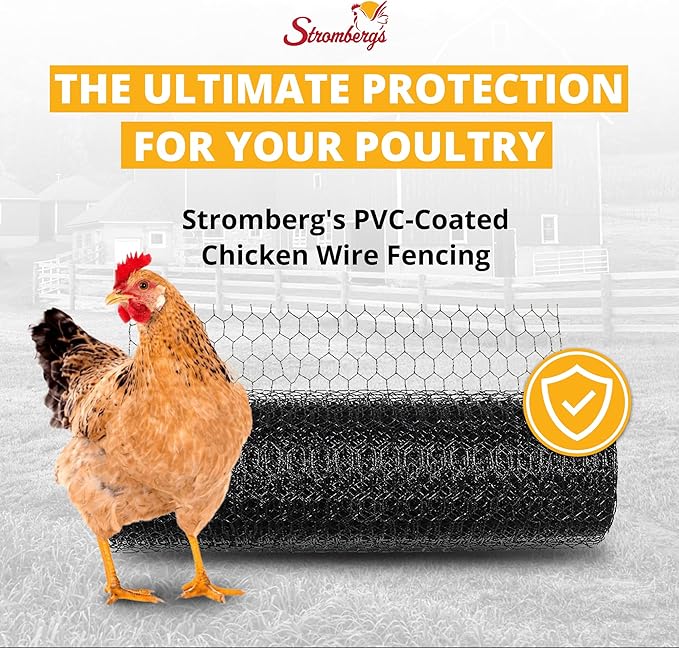 Stromberg’s PVC-Coated Galvanized Wire Fencing, 1-Inch Hex Mesh, Weatherproof, Long-Lasting & Durable for Outdoor Use, Ideal for Poultry Runs and Flight Pens, 2' x 100' Roll