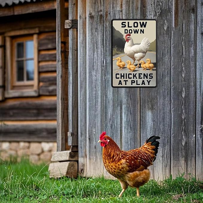 Funny Chicken Signs Slow Down Chickens At Play,chicken Crossing Aluminium Sign Metal Chicken Signs Decor Home Ktichen Farm Are Wall 12x8 Inch Chicken Signs For Coop Metal Tin Signs Poster