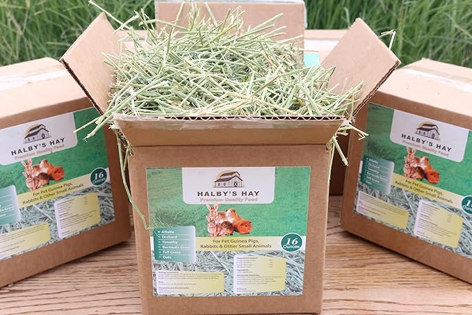 HALBY'S HAY, PREMIUM QUALITY FEED™ Premium Alfalfa Flake Hay – 1 lb Box – Farm Fresh, Sun-Cured, Feed for Rabbits, Guinea Pigs, Chinchillas & Small Pets – Soft, Green, Box-Packed USA Grown