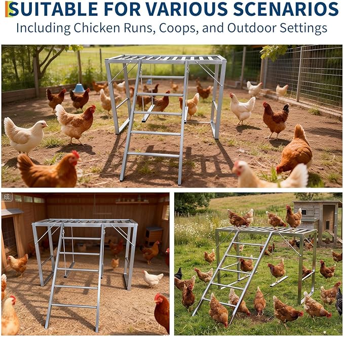 38.98in Metal Chicken Roosting Bars with Swing and Ladder, Heavy Duty Roosting Bars for Chicken Perch, Exercise Equipment for 8-10 Chickens Health & Happiness in Backyard Farms, Silver