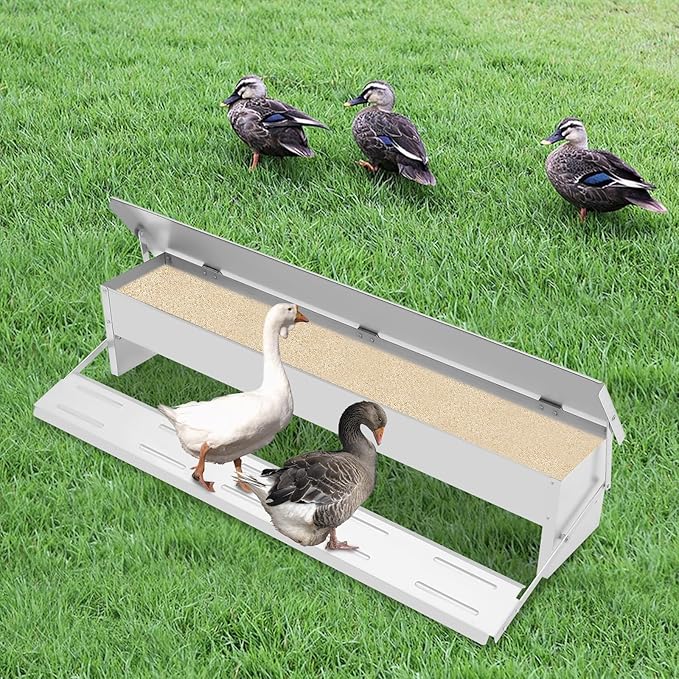 22lbs Automatic Chicken Feeder Large Capacity Poultry Feeders Treadle Galvanized Chicken Feeder with Weatherproof Lid for Chickens, Ducks, Geese
