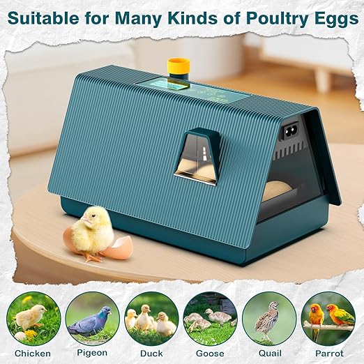 Incubator for Hatching Chicks, 10 Eggs Incubators with Automatic Egg Turning, Temperature and Humidity Control, Egg Candler, Hatching Incubator for Small Poultry, Chicken, Ducks (10 Eggs)