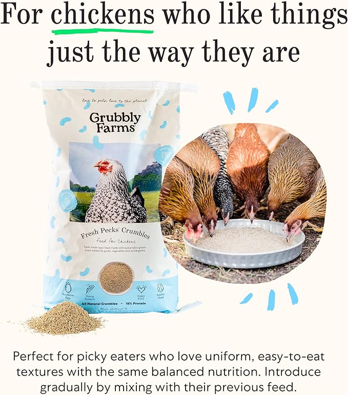 Grubbly Farms Fresh Pecks Layer Chicken Feed Crumbles - 16% Layer Feed for 20+ Week Old Hens, Batams, and Larger Breeds - Contains Black Soldier Fly Grubs - No Soy, Corn, or Fish - 30 lb Bag