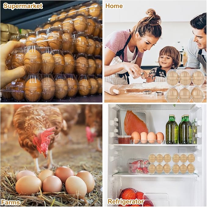 CYEAH 100 Pack Egg Cartons, Chicken Egg Carton 6 Count, Plastic Blank Egg Cartons, Half Dozen Egg Cartons Empty Plastic Egg Carton, Clear Blank Egg Tray for Home Ranch Farm Market Display