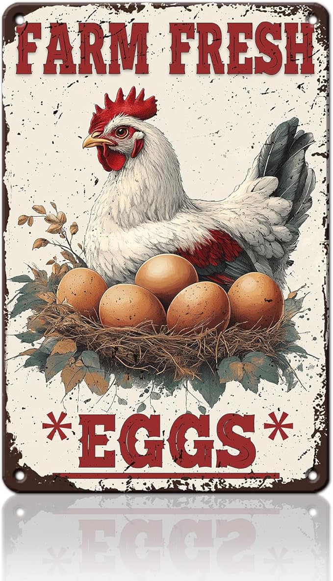 Funny Chicken Signs Farm Fresh Eggs Aluminium Sign Metal Chicken Signs Decor Home Ktichen Farm Are Wall 12x16 Inch Vintage Chicken Signs For Coop Metal Tin Signs Poster