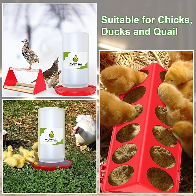 8Pcs Chick Feeder and Waterer Kit, Baby Chicken Supplies with Chicks Perch, Plastic Feeder Trough and 1.2L Waterer