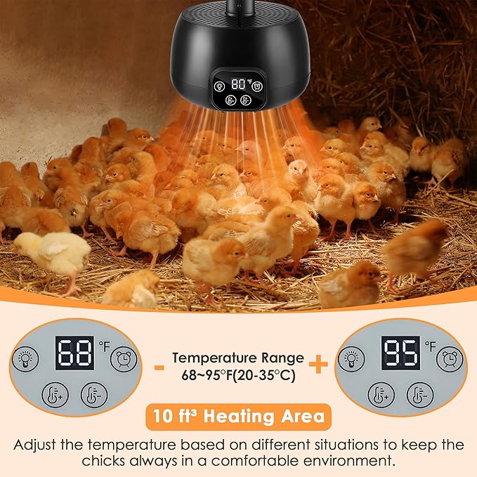 Enhon Chicken Coop Heater with LED Lighting, Adjustable Temperature, Timer & Safety Features – 5 Ft Long Cable Chicken Coop Heating Lamp Perfect for Small Animals and Reptiles(1 Pack)