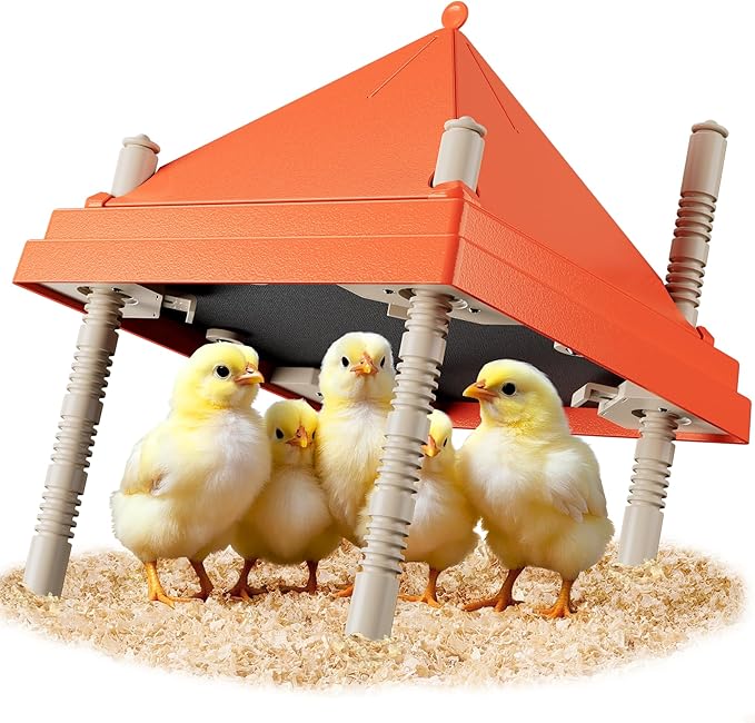 Chick Brooder Heating Plate with Anti Stand Cone 10 x 10 Brooder Heater for Chicks with Adjustable Heights