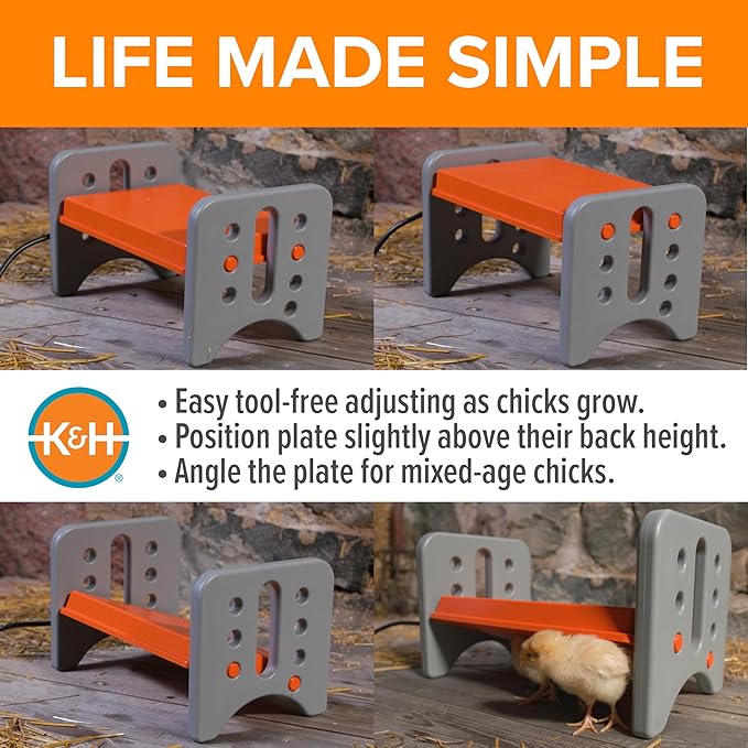 K&H Pet Products Chicken Brooder Heater for Chicks Ducklings, Adjustable Heating Plate for Brooder Boxes, Warms up to 15 Chicks, Chicken Coop Poultry Heating with Safety Light, Small 25 Watts