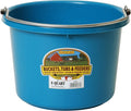 Little Giant® Plastic Animal Feed Bucket | Round Plastic Feed Bucket with Metal Handle | Made in USA | 8 Quarts