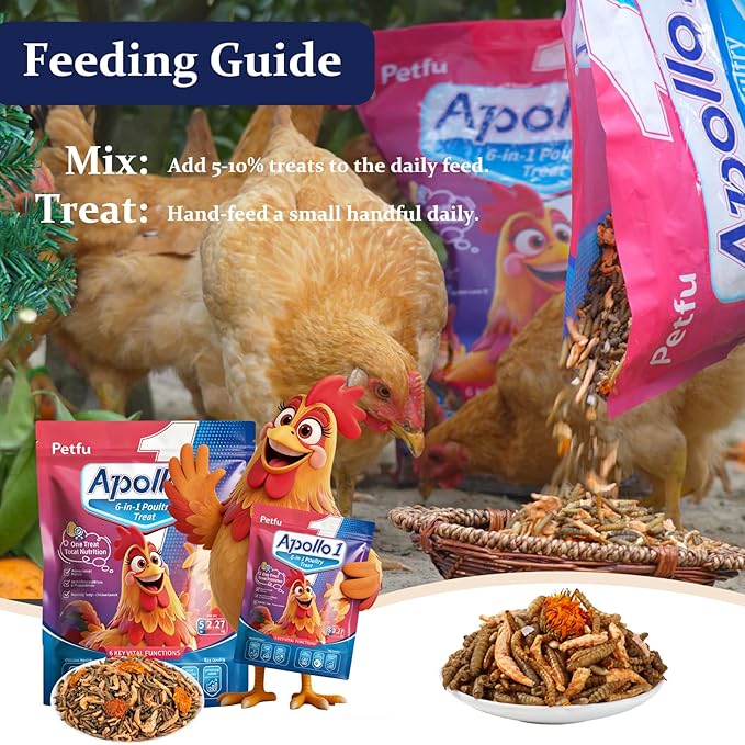 6-in-1 Poultry Treat Mix 5LBS High-Protein Mealworms, BSFL, Krill, Sunflower Seeds, Marigold Petals & Shells for Chickens & Ducks | Supports Strong Eggshells, Feather Health & Rich Yolks