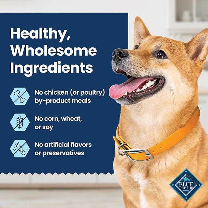 Blue Buffalo Dental Chews Medium Natural Dog Treats, Chicken & Spearmint 23-oz Bag (28 Count)