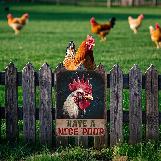 Vintage Chickens Have A Nice Poop Metal Tin Sign 12x16 Inch Chicken Funny Metal Poster Funny Chicken Tin Sign Home Kitchen Garden Bar Pub Restaurant Bathroom Are Wall Decor
