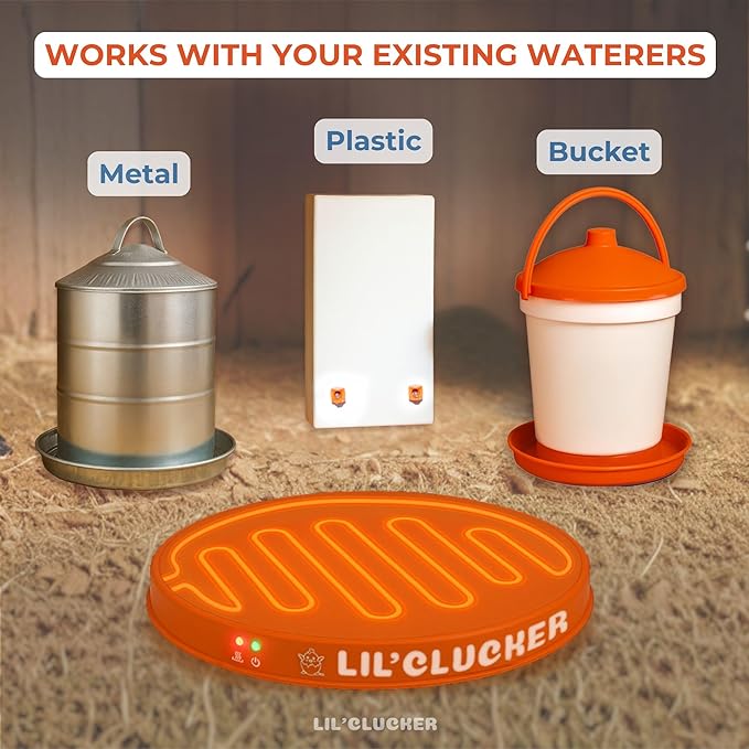 Lil'Clucker Heated Base for Chicken Waterer – Automatic Metal Freeze Proof Heated Chicken Waterer with Heater & LED – Poultry Heated Waterer for Winter (Orange, 11 Inch)