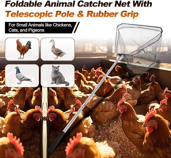 Chicken Catching Net, Animal net with Extendable 46 Inch Stainless Steel Pole, Chicken Net for Chickens, Ducks, Birds Cats, Dogs，Fishnet, Chicken Catcher for Poultry Supplies