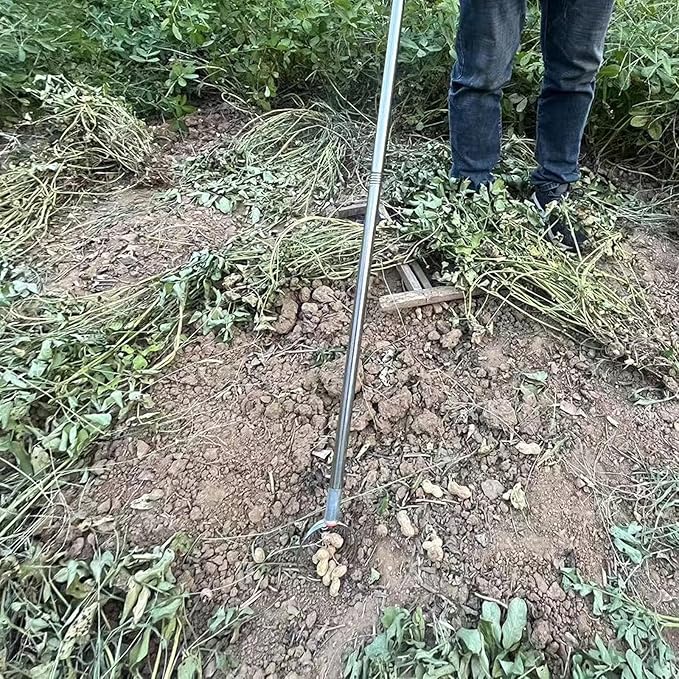 Egg Scooper Tool for Chicken coop,107cm / 42.13 inch Egg Grabber for Chicken Eggs,Multifunctional Peanut, Nut and Potato Grabber。