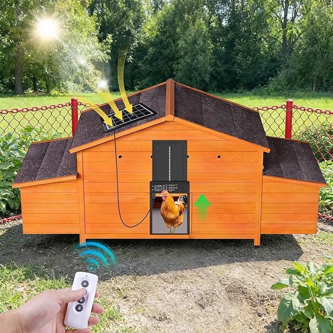 Automatic Chicken Coop for 2-4 Chickens with Solar Powered Door, Weatherproof Outdoor Chicken House with Timer & Light Sensor, Ventilated Design, 2 Nesting Boxes, Pull-Out Tray