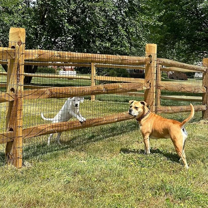 Garden Fence 48in x 100ft, 2 x 3 Inch 16GA, Chicken Wire Mesh Garden Border Fencing Roll Vinyl Coating Metal Wire Mesh Hardware Cloth for Yard Vegetable Plant Protection Poultry Netting