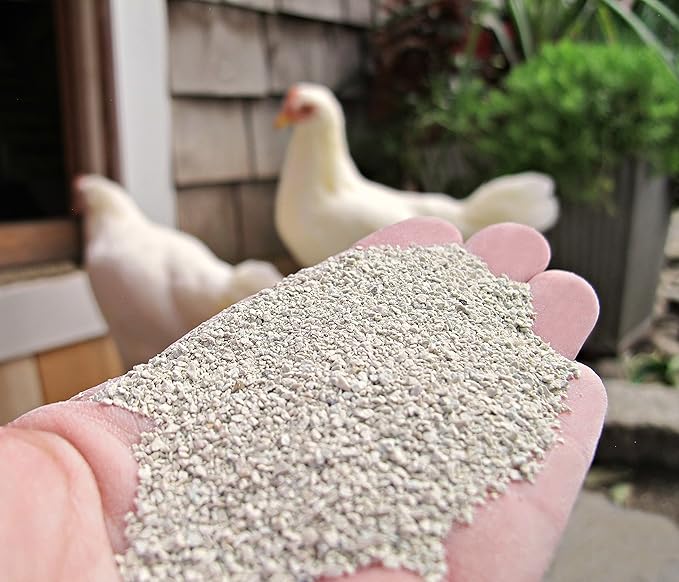 standlee The Chicken Chick Sweet Coop, Zeolite Bedding Enhancer, 5lb Bag (Pack of 2)