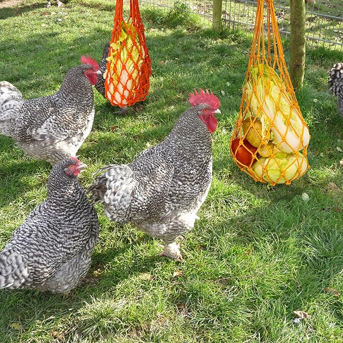 4Pcs Chicken Vegetable String Bag Poultry Fruit Holder Chicken Cabbage Feeder Treat Feeding Tool with Hook for Hens Chicken Coop Toy for Hen Goose Duck