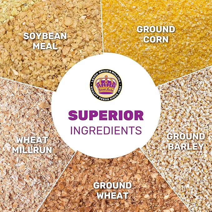 LEACH GRAIN & MILLING CO. 16% Protein Layer Pellets 25 lbs - Chicken Food for Laying Hens, Premium Feed for Chicken, Duck & Game Bird, Support Healthy Shells & Complete Daily Nutrition for Your Hens