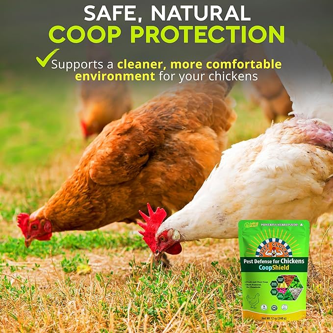 Dust Bath Herb Blend for Chickens - Keep Feathers Clean & Healthy - Food Grade, Natural Nesting Box Herbs for Bedding, Coop Floor, USA (12 oz)