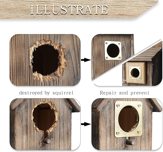 6-Piece Metal Bluebird House Predator Guard，Metal Birdhouse Guard，Bird House Hole Protector Guard for Eastern Bluebird Box （3.81 cm Opening）