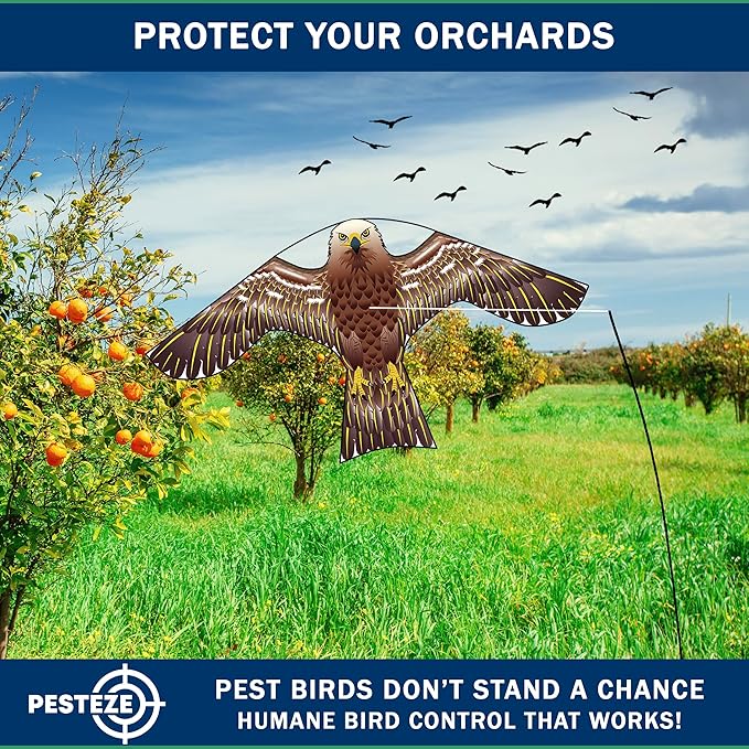 PESTEZE USA Hawk 47x27 Inch Kite with 13 Ft Flagpole. Provides Humane Bird Deterrence in Yards & Farms. Protects Vegetables, Fruits & Crops from Pest Birds & Critters