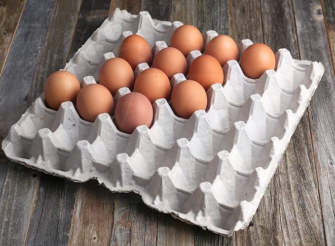 MT Products Egg Crates/Cartons Bulk Holds 30 Eggs - Pulp Fiber Material for Chicken Farm - Case of 140