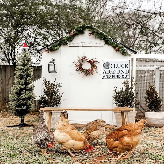 Funny Chicken Coop Signs Chicken Decor Tin Signs Chicken Signs for Home Yard Garden Farm Kitchen Farmhouse Decor (8 X 12) Inch