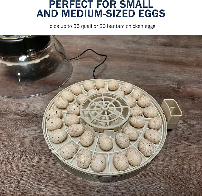 Egg Trays for Kebonnixs Egg Incubator (Various Sizes) (Small (Quail/Bird))