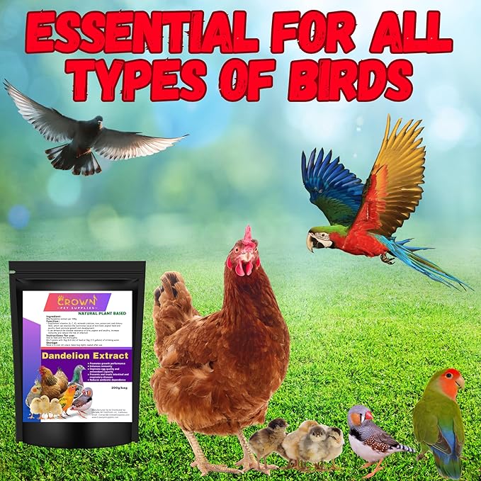 Dandelion Supplement for Birds – All-Natural Herbal - Disease Resistance - Growth Support for Chickens, Pigeons, Poultry & Cage Birds – Sourced from Pure Dandelion Plant
