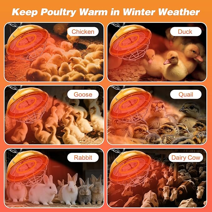 300W Heat Lamp for Chickens Coop, Waterproof Chicken Coop Heater Lamp, Adjust 2 Mode Temperature&Hanging Height for Indoor Outdoor Suitable for Chick, Duck, Rabbit and Dog