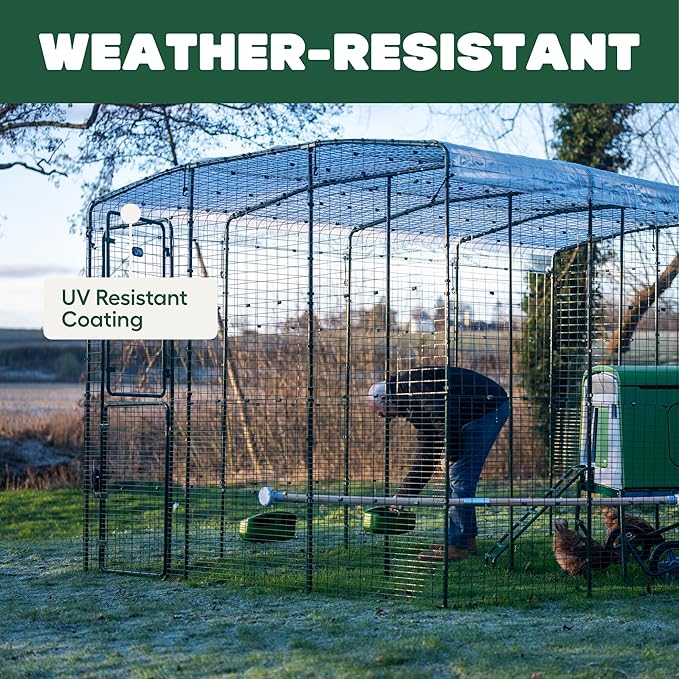 Omlet Clear Chicken Run Tarp | Durable Weatherproof Cover for Poultry Runs | Full Protection from Rain, Wind & Snow | Includes Bungees | 6ft x 6ft