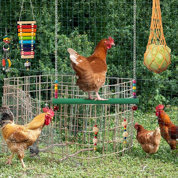Little World 12PCS Chicken Toys for Coop - Complete Set of Chicken Toy, Coop Accessories Swing Ladder Bridge Mirror Pecking Toy Entertainment