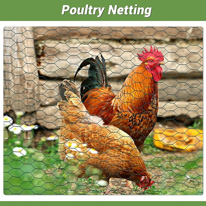 Chicken Wire Fencing Mesh, PVC Coated Galvanized Hexagonal Floral Chicken Wire, Outdoor Anti-Rust Chicken Wire Poultry Netting for Garden Fence