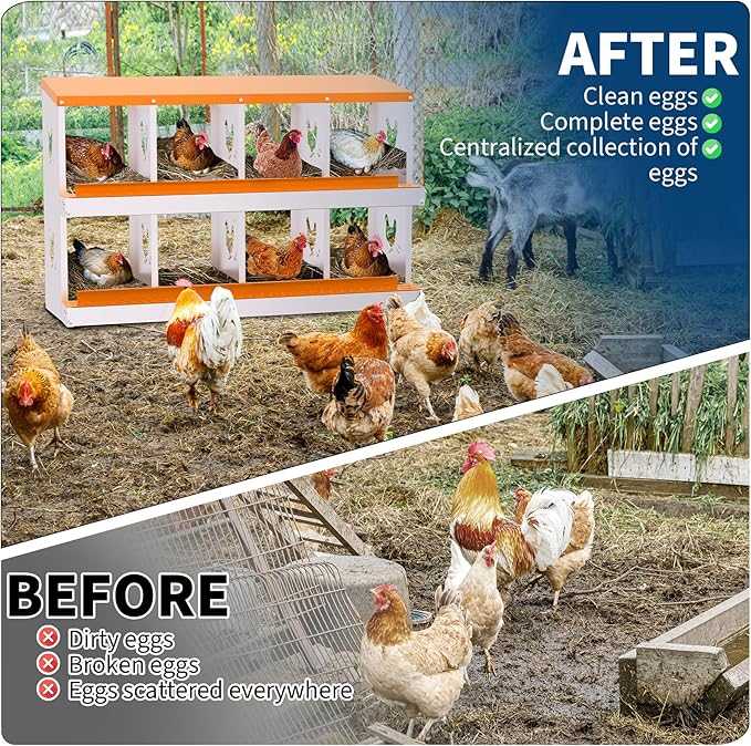 Chicken Nesting Box with Removable Tray, 8 Compartment Nesting Boxes for Chickens, Easy to Clean and Install, Durable Chicken Laying Boxes for Chicken Coop, Protects Eggs(Orange)