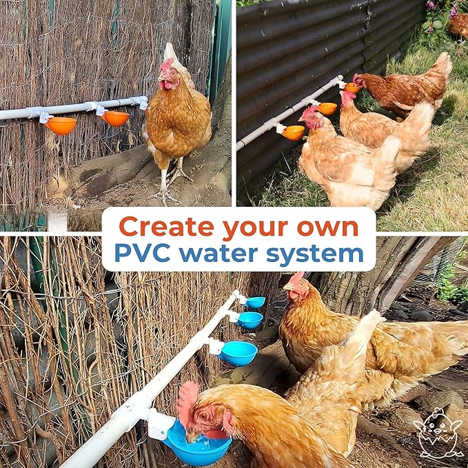 Lil'Clucker Large Automatic Chicken Waterer Cups with 1/2" PVC Tee Fittings - Chicken Water Cups, Chicken Water Feeder, for Chicks, Duck, Goose, Turkey - Poultry Waterer Feeder Kit (Orange, 8-Pack)