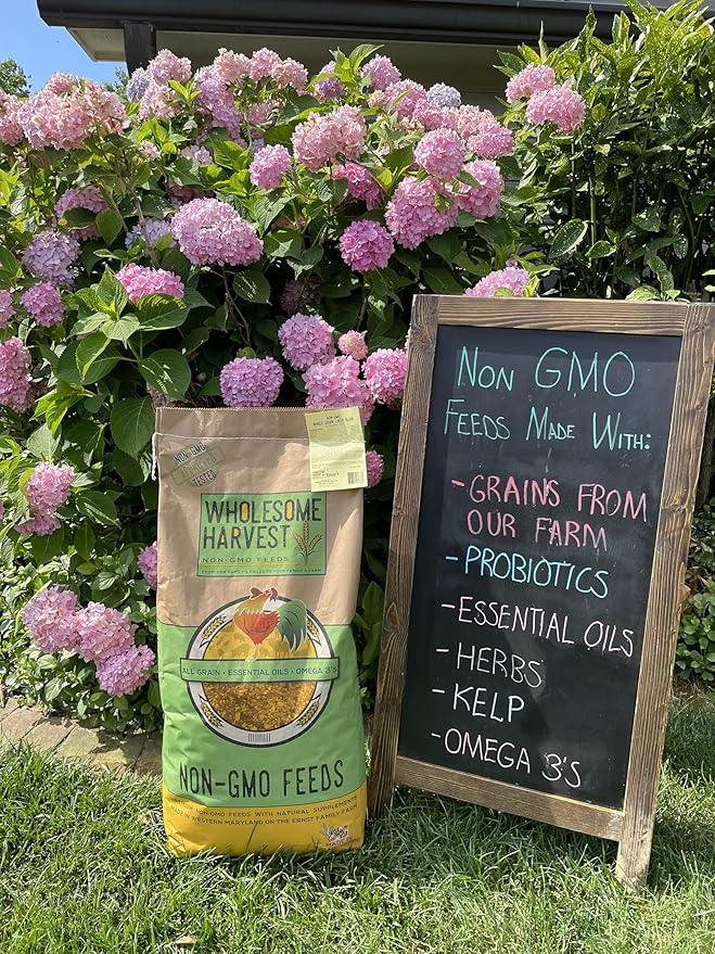 Non-GMO Pastured Poultry Grower 19% for Growing Chickens and Ducks - 40 lbs