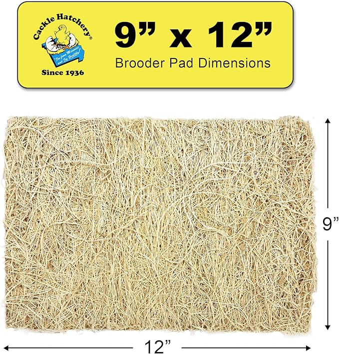 Cackle Hatchery Excelsior Brooder Pads for Chicks (100 Pack) - 9"x12" Aspen Excelsior Pads for Lining Chick Brooders